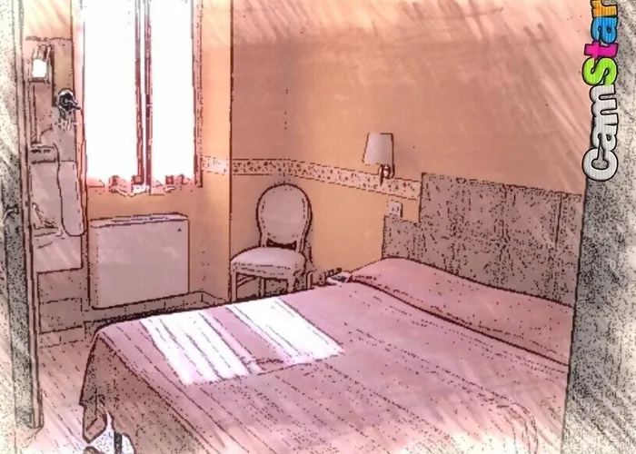 Hotel adatto agli animali: Hotel Spagna